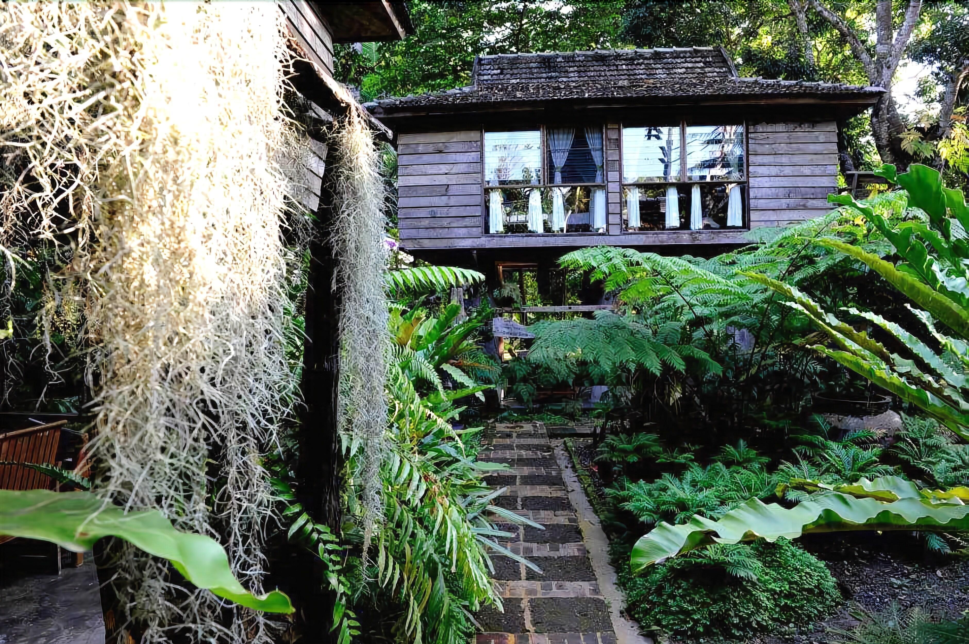 Fern Paradise, Chiang Mai